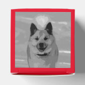 Ballotins IcelandicSheepdog20151203 (Haut)