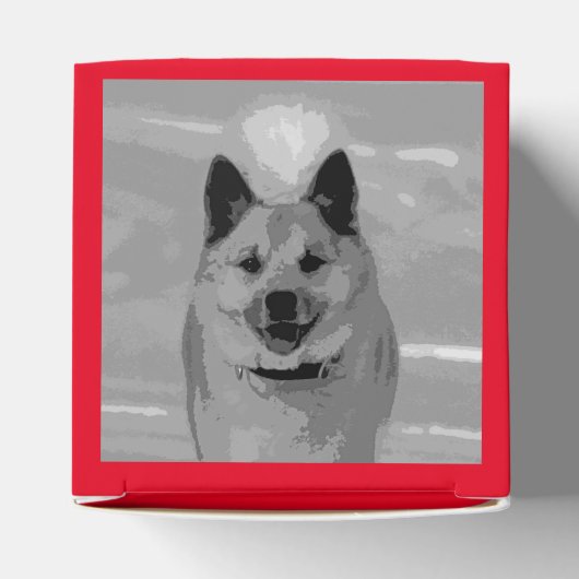 Ballotins IcelandicSheepdog20151203 (Haut)