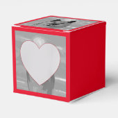 Ballotins IcelandicSheepdog20151203 (Verso)