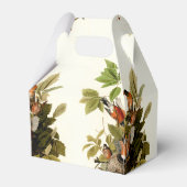 Ballotins Illustration Audubon American Robin Wildlife Bird (Arrière)