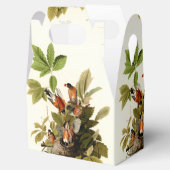 Ballotins Illustration Audubon American Robin Wildlife Bird (Ouvert)