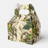 Ballotins Illustration Audubon Carolina Parrot Bird (Arrière)