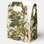 Ballotins Illustration Audubon Carolina Parrot Bird (Ouvert)