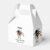 Ballotins Illustration de Tarantula (Arrière)