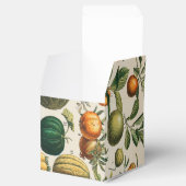 Ballotins Illustration scientifique végétale des fruits (Ouvert)