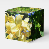 Ballotins Jardin de fleurs  (Verso)