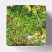 Ballotins Jardin de fleurs  (Haut)