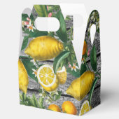 Ballotins Jardin rustique d'agrumes (Ouvert)