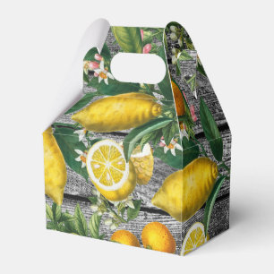 Ballotins Jardin rustique d'agrumes