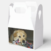 Ballotins Jaune de laboratoire LR avec jouet (Ouvert)