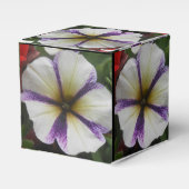 Ballotins Joli (Verso)