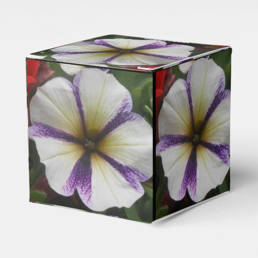 Ballotins Joli (Verso)