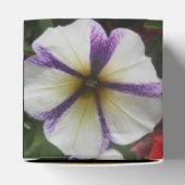 Ballotins Joli (Haut)