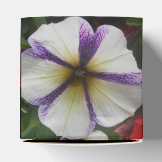 Ballotins Joli (Haut)