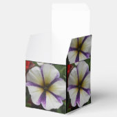 Ballotins Joli (Ouvert)