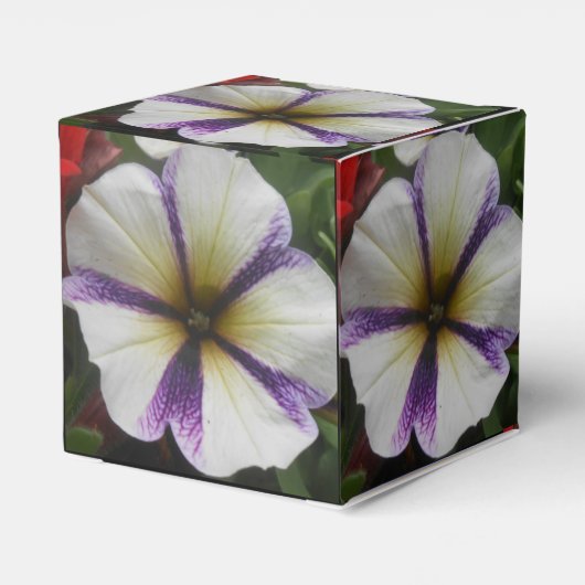 Ballotins Joli (Arrière)