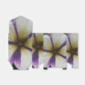 Ballotins Joli (Déplié)