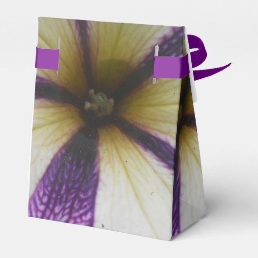 Ballotins Joli (Arrière)