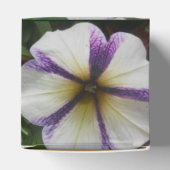 Ballotins Joli (Haut)