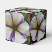 Ballotins Joli (Arrière)