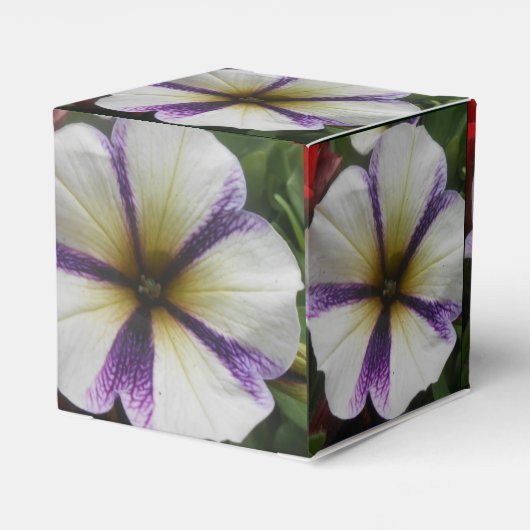 Ballotins Joli (Arrière)