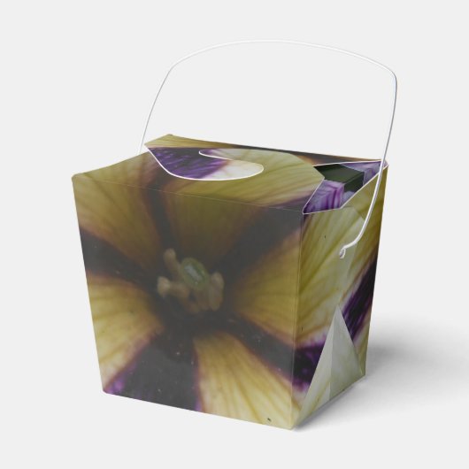 Ballotins Joli (Verso)