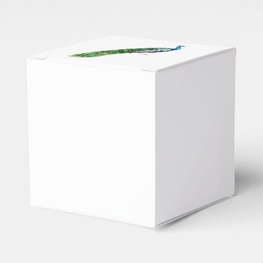 Ballotins Joli Peacock (Verso)