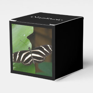 Ballotins Joli Zebra Longwing Papillon Ballotin personnalisé
