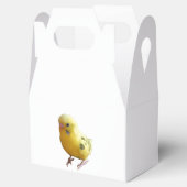 Ballotins Jolie Parakeet Jaune Amical Animaux de compagnie P (Ouvert)