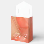 Ballotins Jolie pêche stylé (Ouvert)