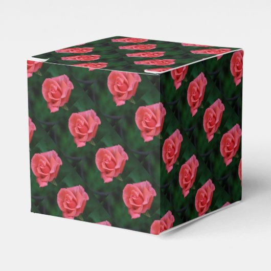 Ballotins Jolie rose rose (Verso)