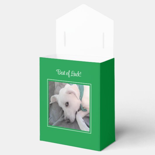 Ballotins Jolie St. Patrick's Day Green Lazy Chien (Ouvert)