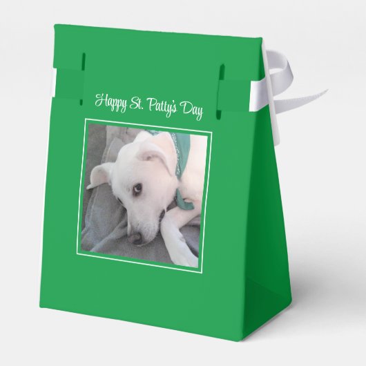 Ballotins Jolie St. Patrick's Day Green Lazy Chien (Arrière)