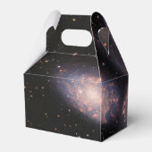 Ballotins JWST James Webb Télescope spatial Quintet de Steph (Arrière)