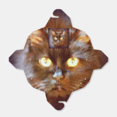 Ballotins kittycat noir (Déplié)