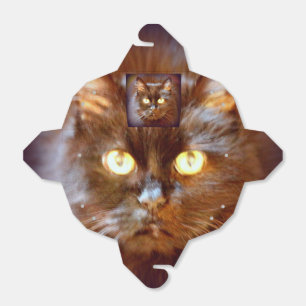 Ballotins kittycat noir