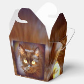 Ballotins kittycat noir (Ouvert)