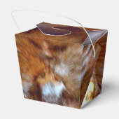 Ballotins kittycat noir (Arrière)