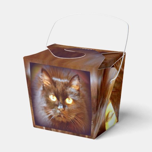 Ballotins kittycat noir (Verso)