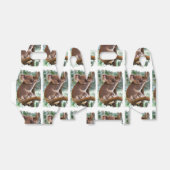 Ballotins Koala Bear (Déplié)