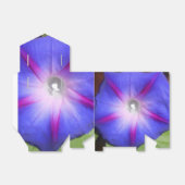 Ballotins Labille-Guiard (Déplié)