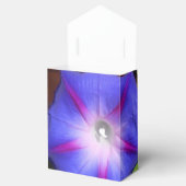 Ballotins Labille-Guiard (Ouvert)