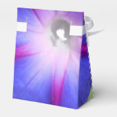 Ballotins Labille-Guiard (Arrière)