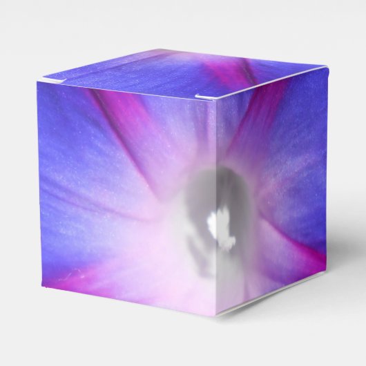 Ballotins Labille-Guiard (Verso)