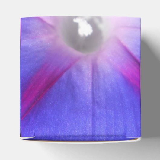 Ballotins Labille-Guiard (Haut)