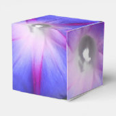 Ballotins Labille-Guiard (Arrière)