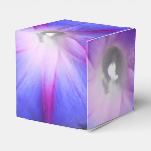 Ballotins Labille-Guiard (Arrière)