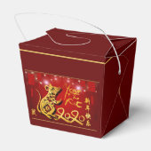 Ballotins Lanternes chinoises Feu d'artifice année 2020 TOFB (Arrière)