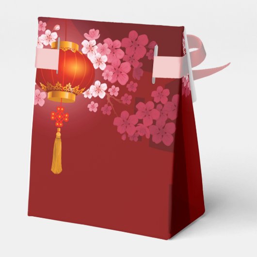 Ballotins Lanterns Hao Dao Joyeux Vietnamien Nouvel An TFB (Arrière)