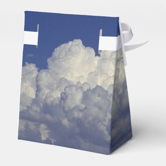 Ballotins Les Ciels La Limite (Arrière)